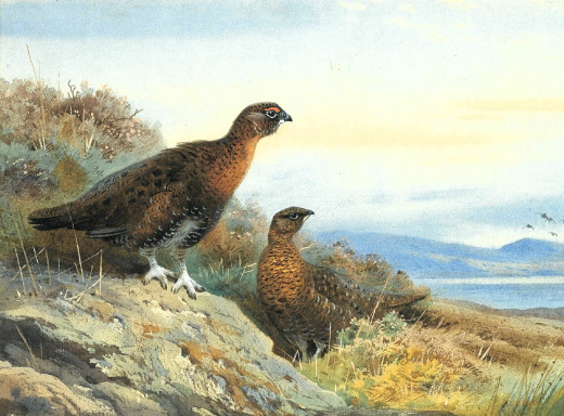 1724681 (a): :1920x1416